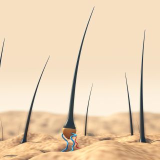 Estimula la Ricrescita dei Capelli